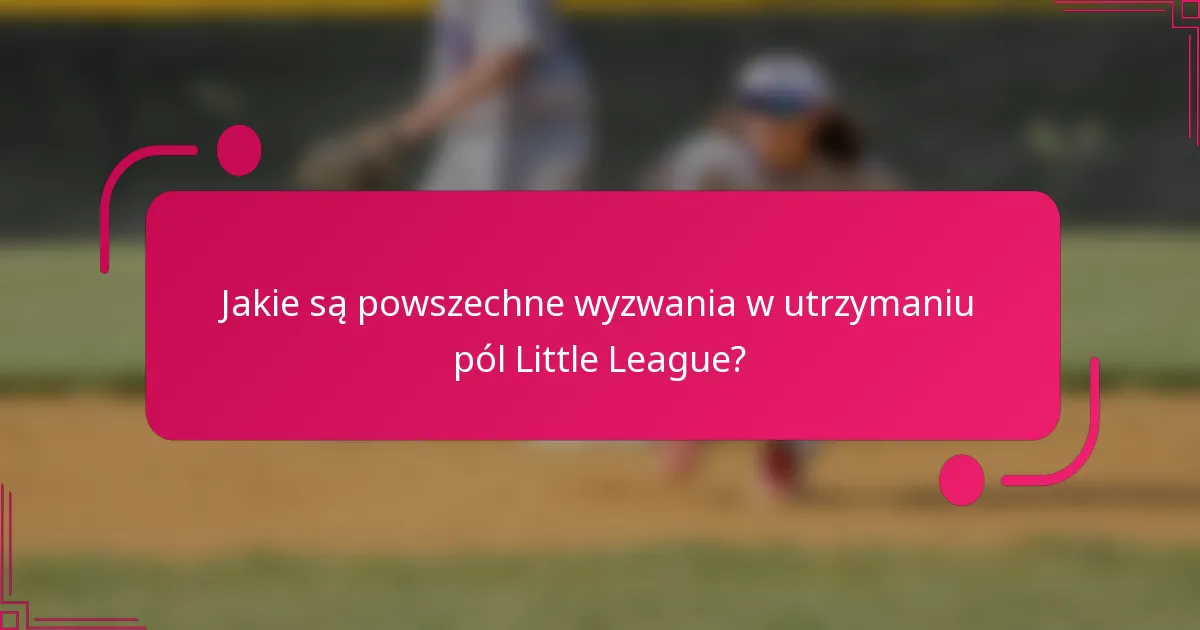 Jakie są powszechne wyzwania w utrzymaniu pól Little League?